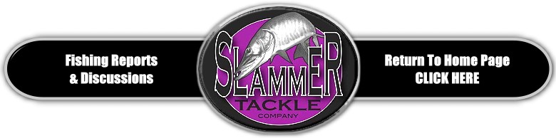Slammer Tackle Fishing Reports & Discussions